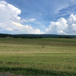 Meet your Posher, Cassidy